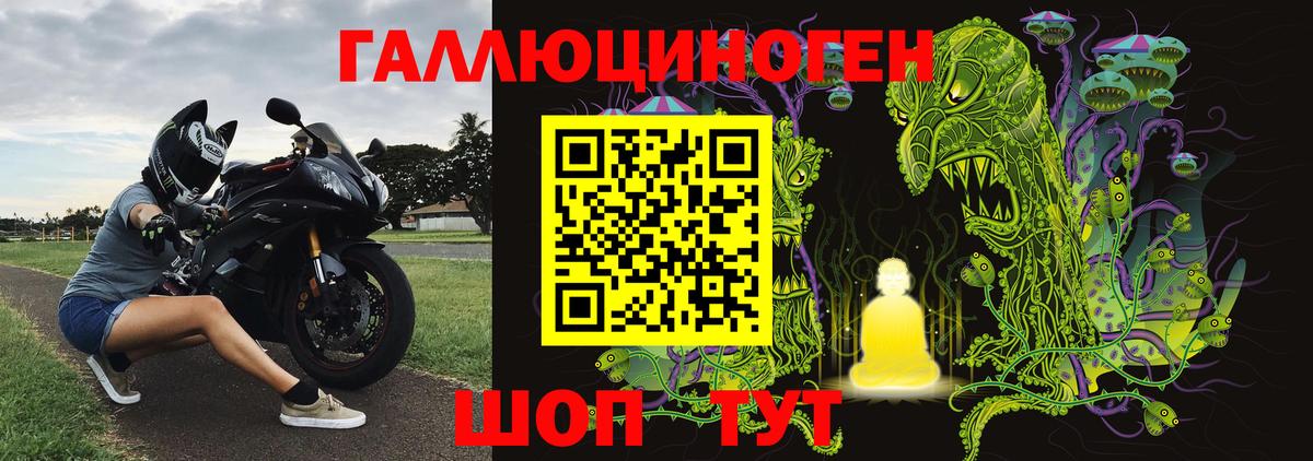 купить наркоту  Галлюциногенные грибы Psilocybe  Вход с VPN  Краснокаменск 